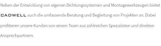 Neben der Entwicklung von eigenen Dichtungssystemen und Montagewerkzeugen bietet CADWELL auch die umfassende Beratung und Begleitung von Projekten an. Dabei profitieren unsere Kunden von einem Team aus zahlreichen Spezialisten und direkten Ansprechpartnern.