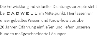 Die Entwicklung individueller Dichtungskonzepte steht bei CADWELL im Mittelpunkt. Hier lassen wir unser geballtes Wissen und Know-how aus über  20 Jahren Erfahrung einfließen und liefern unseren Kunden maßgeschneiderte Lösungen.
